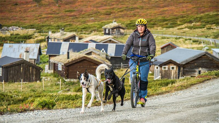 Ida på fjellet