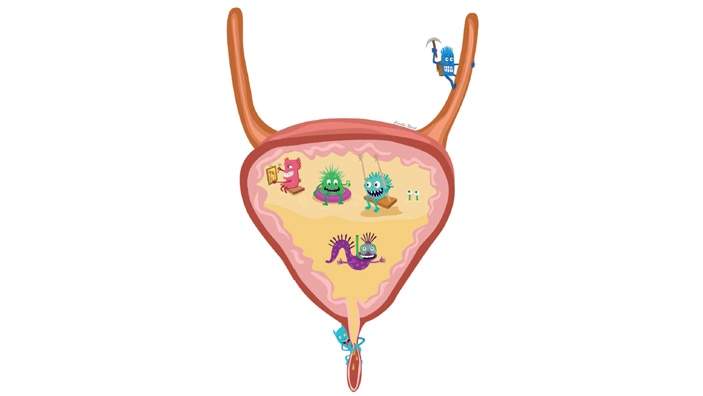 illustrasjon urinveisinfeksjon