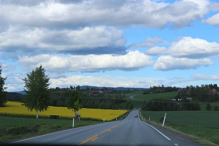 3:utsikt fra bilen