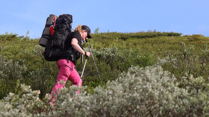 Julie på tur over Hardangervidda